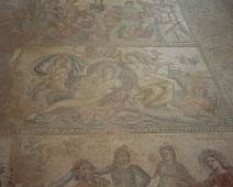 04A4_054_5421 Site Paphos - Mozaieken