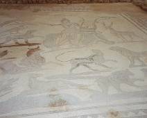 04A4_055_5502 Site Paphos - Mozaieken
