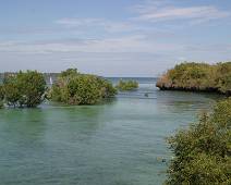137_3765_E Wasini Island - Mangrove bij vloed