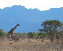 150_5097_G Rhino Sanctuary - Niet alleen neushoorns maar ik giraffen en olifanten hier.