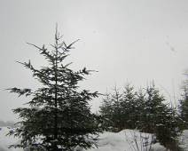 110_1089_N Sneeuwlandschap