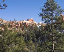 165_6560_E Bryce Canyon: groen, bruin, geel en wit