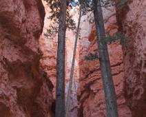 165_6583_E Bryce Canyon: Navajo Trail