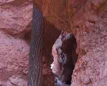 165_6584_E Bryce Canyon: Navajo Trail