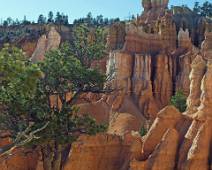 165_6535_E Bryce Canyon: Queen's Garden