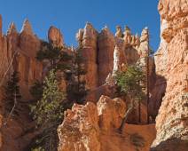 165_6541_E Bryce Canyon: De koninklijke hofhouding