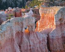 163_6339_G Bryce Canyon: zacht ochtendlicht streelt de pieken, bulten en gaten in zandsteen