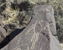 156_5633_E Petroglyph NM