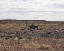 158_5817_E Gooseneck SP: Eenzame Cowboy met dierenvriend