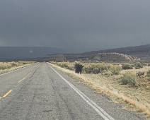 160_6094_E Open Range - veel lokale wegen lopen dwars door een ranch. Af en toe is er een koe verdwaald tot op de weg. Op de achtergrond een dreigend onweer.