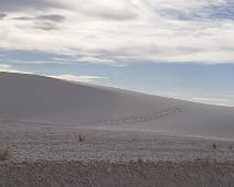 154_5466_E White Sands: Dunes Drive