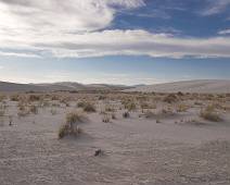 154_5477_E White Sands: Op de harde bodem - steenharde woestijn