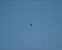 155_5521_E White Sands: Vreemde vleermuis - F119 van Holoman Air Force Base, net buiten het park.