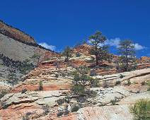 170_7004_E Zion: White Cliffs en een lesje in geologie