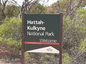 Hattah Hattah-Kulkyne is een nogal apart landschap. Het is een overstromingsgebied van de Murray rivier, de slagader van het...