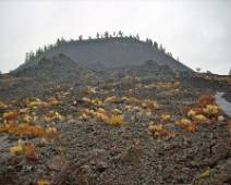 101_1183_L USFS Newbury Volcanic Monument: de Lava Butte, restanten van de vulkaan Mt. Newburry