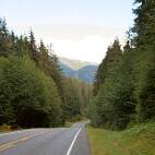 100_0798_F US-101 South - door het Olympic National Forest. Hier staan nog millioenen kranten rechtop