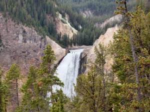 Falls Yellowstone heeft ook zijn "Grand Canyon" en helemaal aan het begin ervan liggen de Upper en Lower Falls van de...