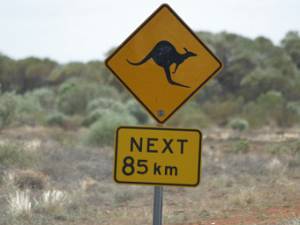 Australie Na de yankees, komen de Ozzies met hun kangoeroes, wombats, papegaaien en zand, veel zand, heel veel zand.