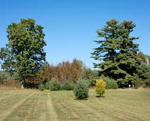 100_3446_F I-87S: Laat het gras maar groeien - dat is hier geen echte hit geworden. Een selectie van streekgebonden bomen.
