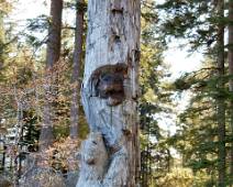 F00_5419 Glacier Gardens Rainforest: wat doe je met een dode boom? Je maakt er een mooi beeld van