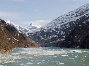 Tracy Arm