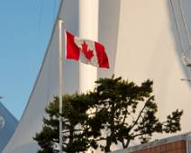 F00_4842 Groet aan de vlag. De Canadese gans vind je overal.