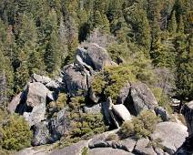 F00_4553 Moro Rock is een van de weinige stukken rots die niet bedekt zijn met bos. En het zijn geen kleine keien.
