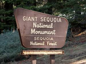 Giant Sequia NM Ieder departement wil hier wel zijn eigen parkje hebben. De Forest Service beheert het Giant Sequoia National Monument.