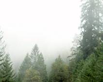 S00_0193 CA-120: Boudewijn de Groot zong over de rook om het hoofd. Hier is het de mist. Hogerop is het aan het sneeuwen.
