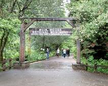 S00_2320 Een natte welkom in het Muir Woods Monument.