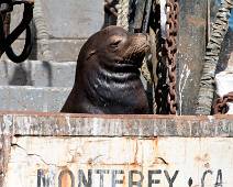 S00_7757 Welkom in de haven van Monterey