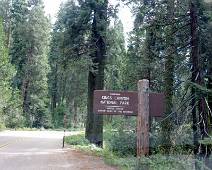 F01_6328 Het oudste en kleinste stukje van Kings Canyon NP. Oorspronkelijk gekend als General Grant National Park