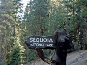 Sequoia & Kings Canyon Een tweede bezoekje aan deze hoge parken. De weergoden zorgden elke dag wel voor ander weer. Van bijna 30 graden en...