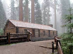 Mariposa Grove Niet alleen Sequoia en Kings Canyon hebben sequoiabossen. Mariposa Grove heeft dan niet de grootste of hoogste boom maar...