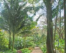 A01_0701 National Tropical Botanical Garden