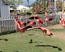 S01_2890 Meestal vind je de flamingo's in een vijvertje. Hier moeten ze het doen met een grasveldje. Leuk voor de kinderen maar voor de vogels?