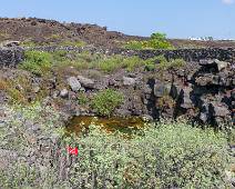 S02_2114 Water is altijd een zorg, zelfs midden in een oceaan. Door de lava stroomt er zuiver regenwater en via dit soort putten kan je er aan.