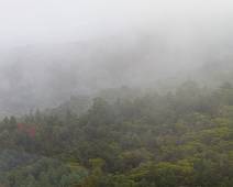 S02_2894 Heliflight - oerwoud in de mist