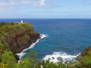 Kilauea Point NWR Op de noordelijke punt van Kauai staat een vuurtoren. En daarrond een groot vogelreservaat op de woeste rotsen.