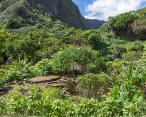 S02_2307 De toeristen zijn vooral geinteresseerd in de natuur maar voor de Hawaiianen zijn de overblijfselen van hun cultuur minstens even belangrijk.