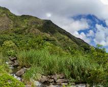 S02_2349-Pano Iao Valley trail