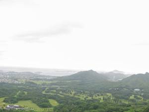 Eiland toer In Honolulu woont dan wel driekwart van de Hawaïanen. Daarbuiten is er ook leven en vooral veel surf en soms ananas.