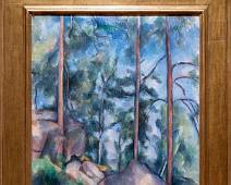T00_0149 MoMA - Postimpressionisme - Paul Cezanne, Sparren en rotsen