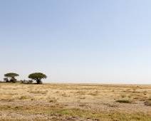 B00_9140 Serengeti East - de schuilplaats van de lokale luipaarden