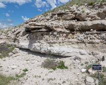 T00_3488 Fossil Hills Trail - Carnegie Hill site