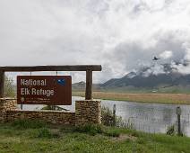 T00_0926 Welkom in het National Elk Refuge, een rustplaats voor herten in dit hoekje van Wyoming. Ook om ranchers te beschermen tegen rondtrekkende hertenbendes.