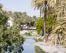 B00_0065 Al Thowarah Hot Springs II