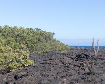 W00_2148 Punto Moreno. Sloefie noemt dit Auw Auw Auw lava. A'a is de echte naam.