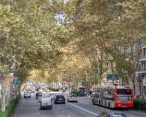 P1020590 Typische straat Barcelona.. maar met de bus iets minder interessant door de vele laag-hangende takken